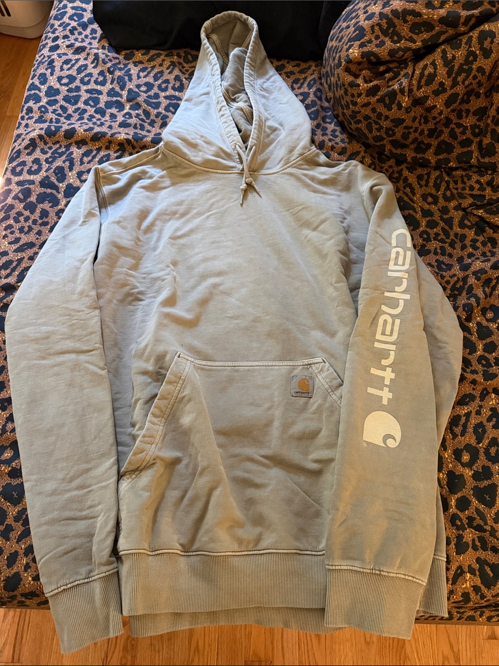 Carhartt French Terry Washed Hoodie Sweatshirt Light green gray Men’s Large